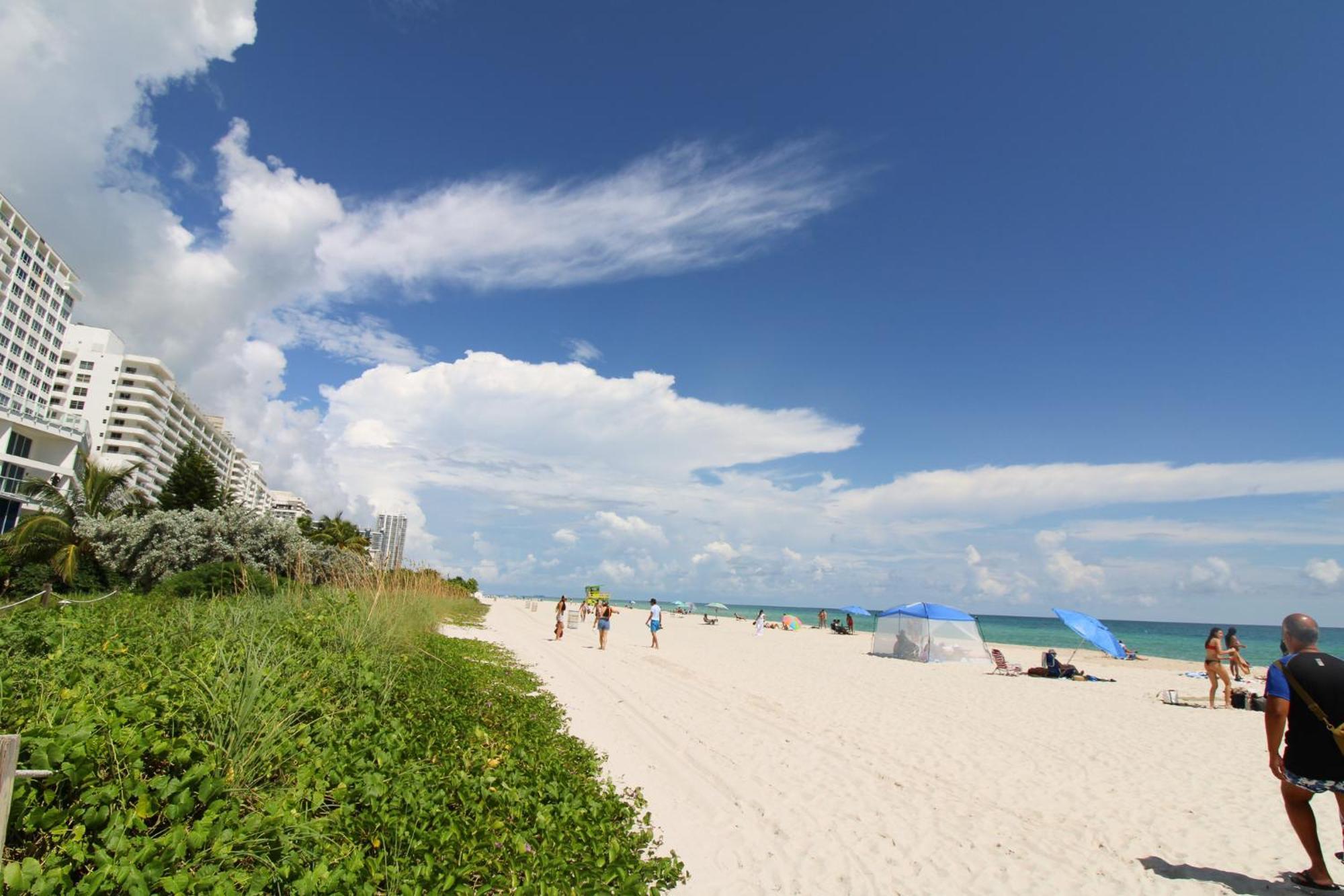 Castle Pavillon 8 Beachfront - Private Beach Access Loft With 2-Story, Pool, Tennis, Free Parking Access Miami Beach Exterior photo